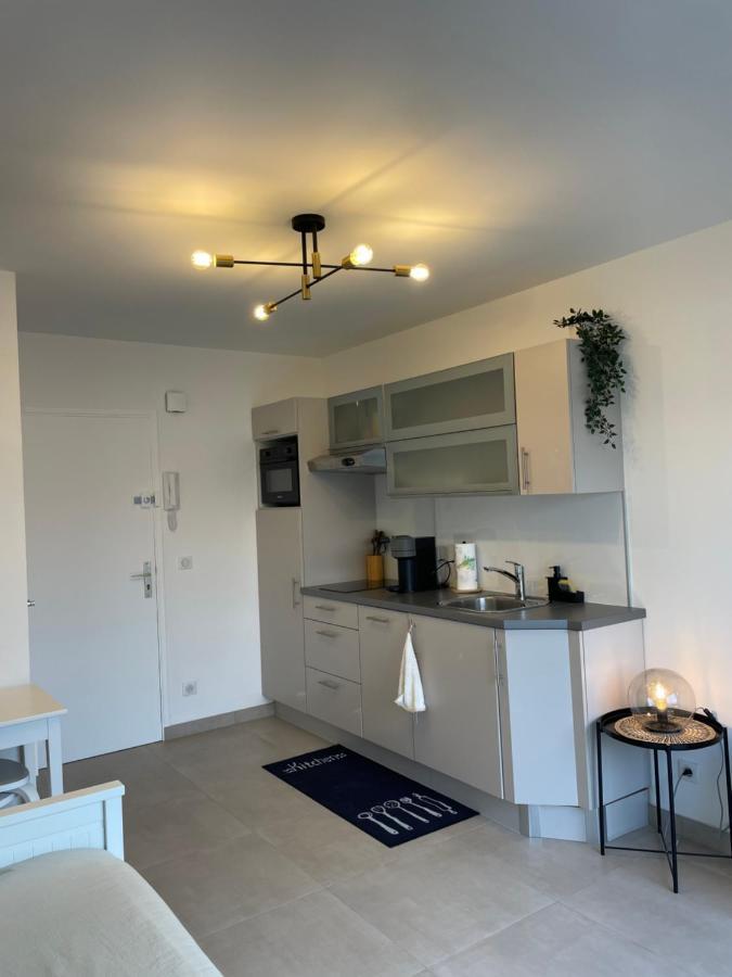 T2 Au Calme, Proche Des Plages, Climatise Et Parking Prive Cagnes-sur-Mer Eksteriør billede